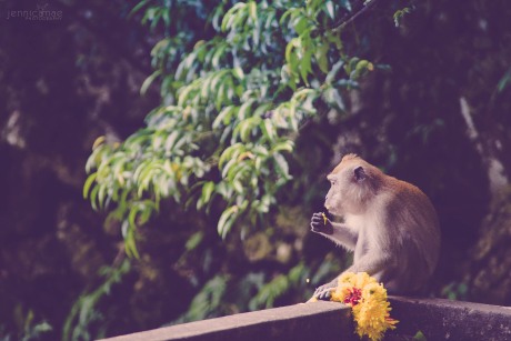 Eating offering flowers, it's nothing to him.