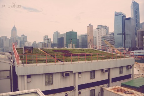 Agriculture via rooftop.